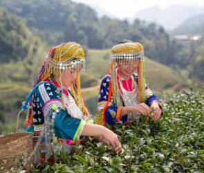 Sikkim Culture