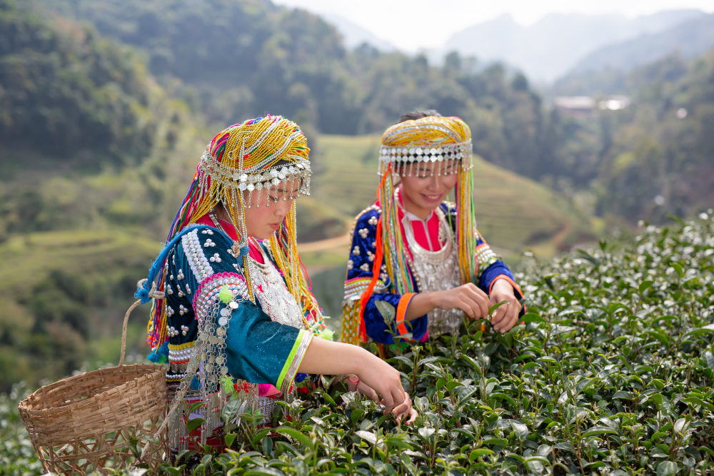 Sikkim Culture